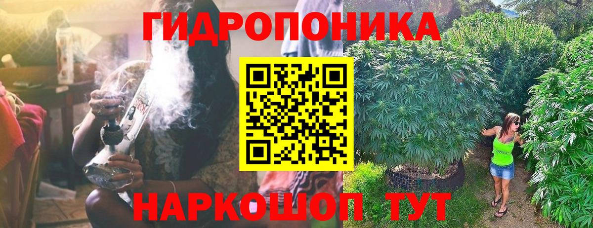 Канабис ГИДРОПОН  Вход с VPN  Марихуана White Widow  Шишки марихуана план  Петрозаводск 